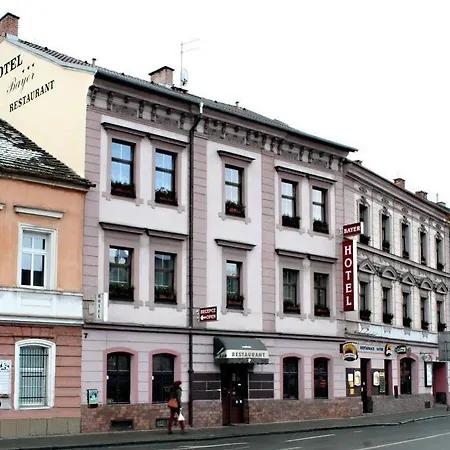 Bayer Plzeň